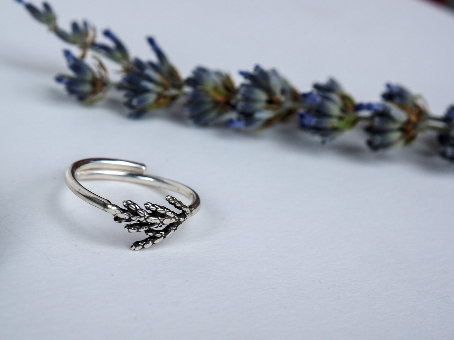 Cedar | Ring