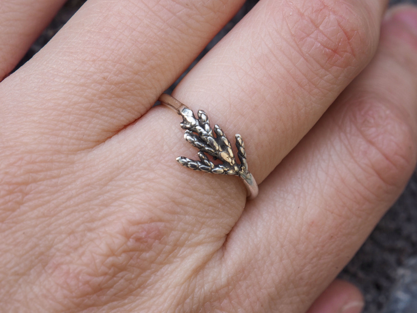 Cedar | Ring
