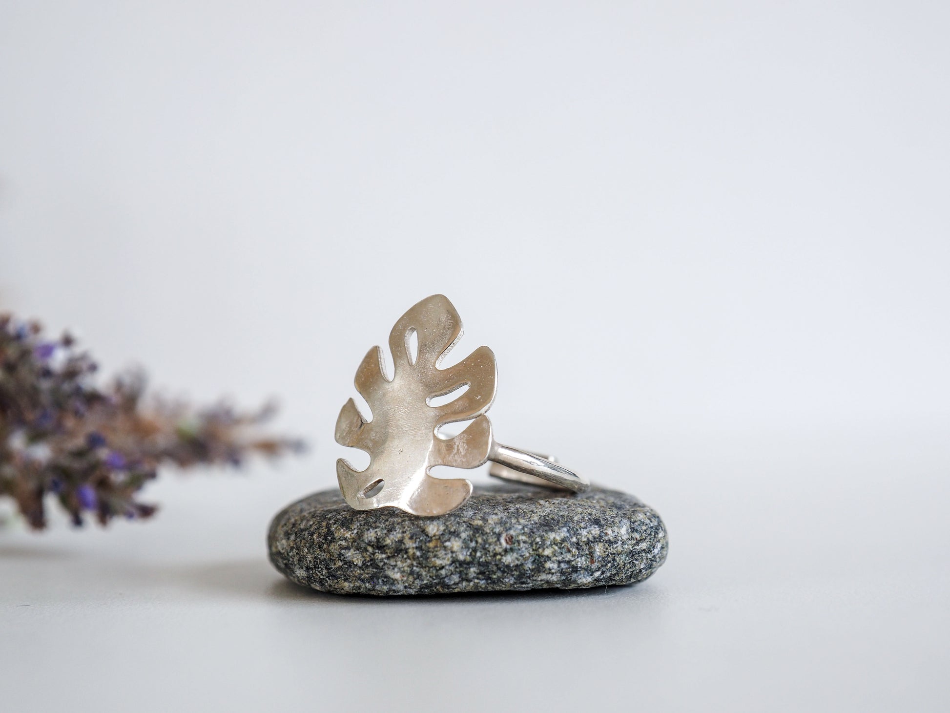 monstera ring Monstera Ring – RedFoxStories