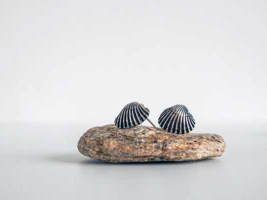 Clam Shell Stud Earrings