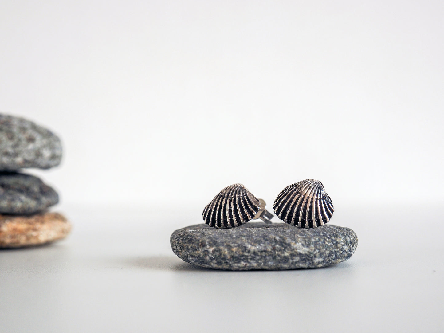 Clam Shell Stud Earrings