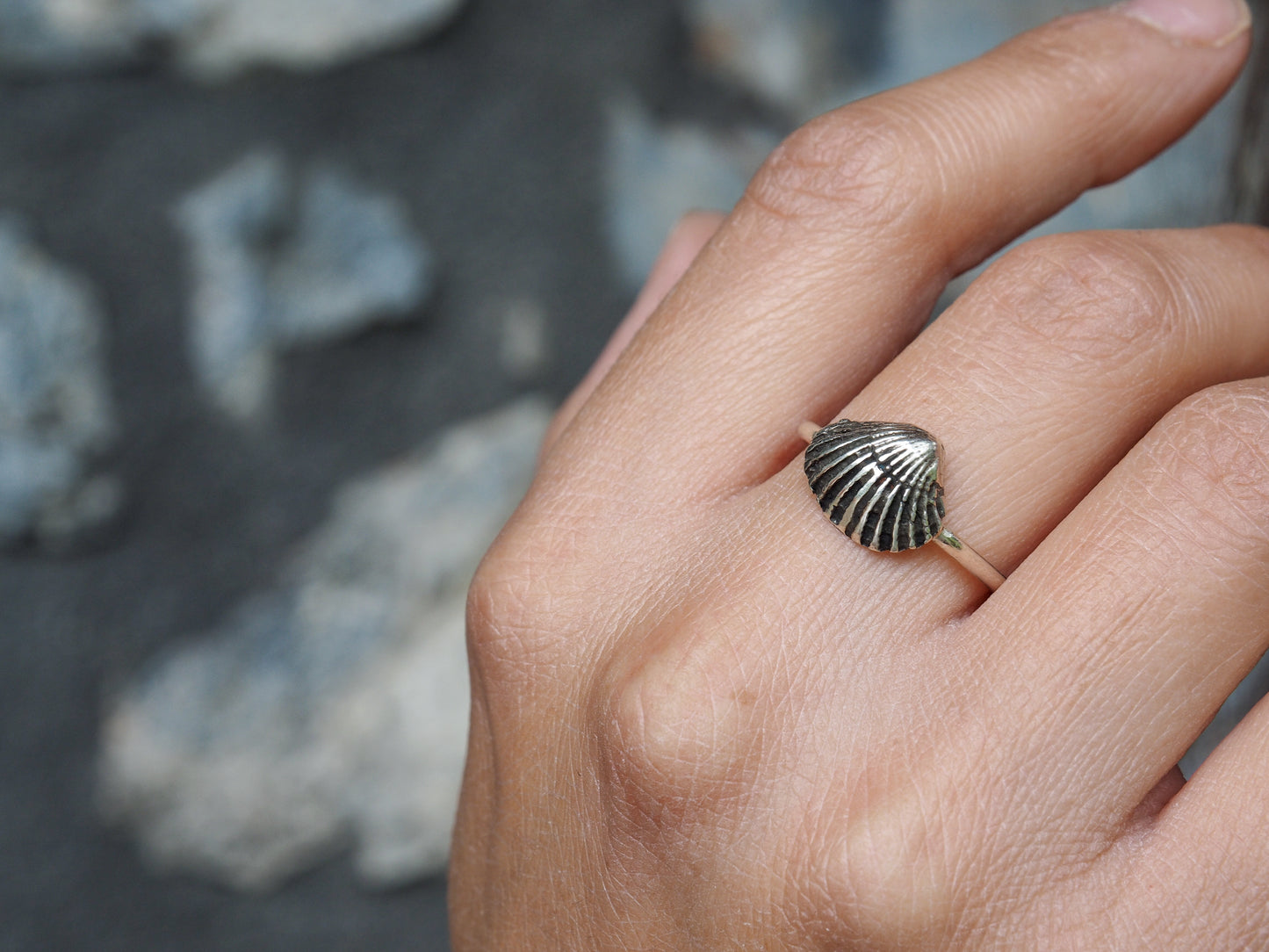 Clam Shell Ring