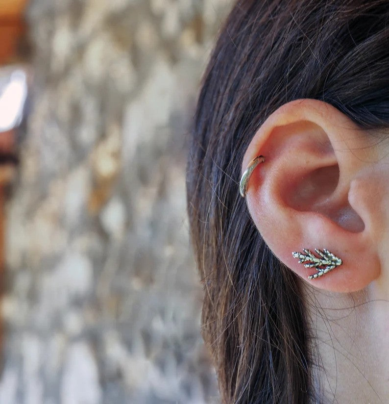 Cedar Leaves | Ear Climbers