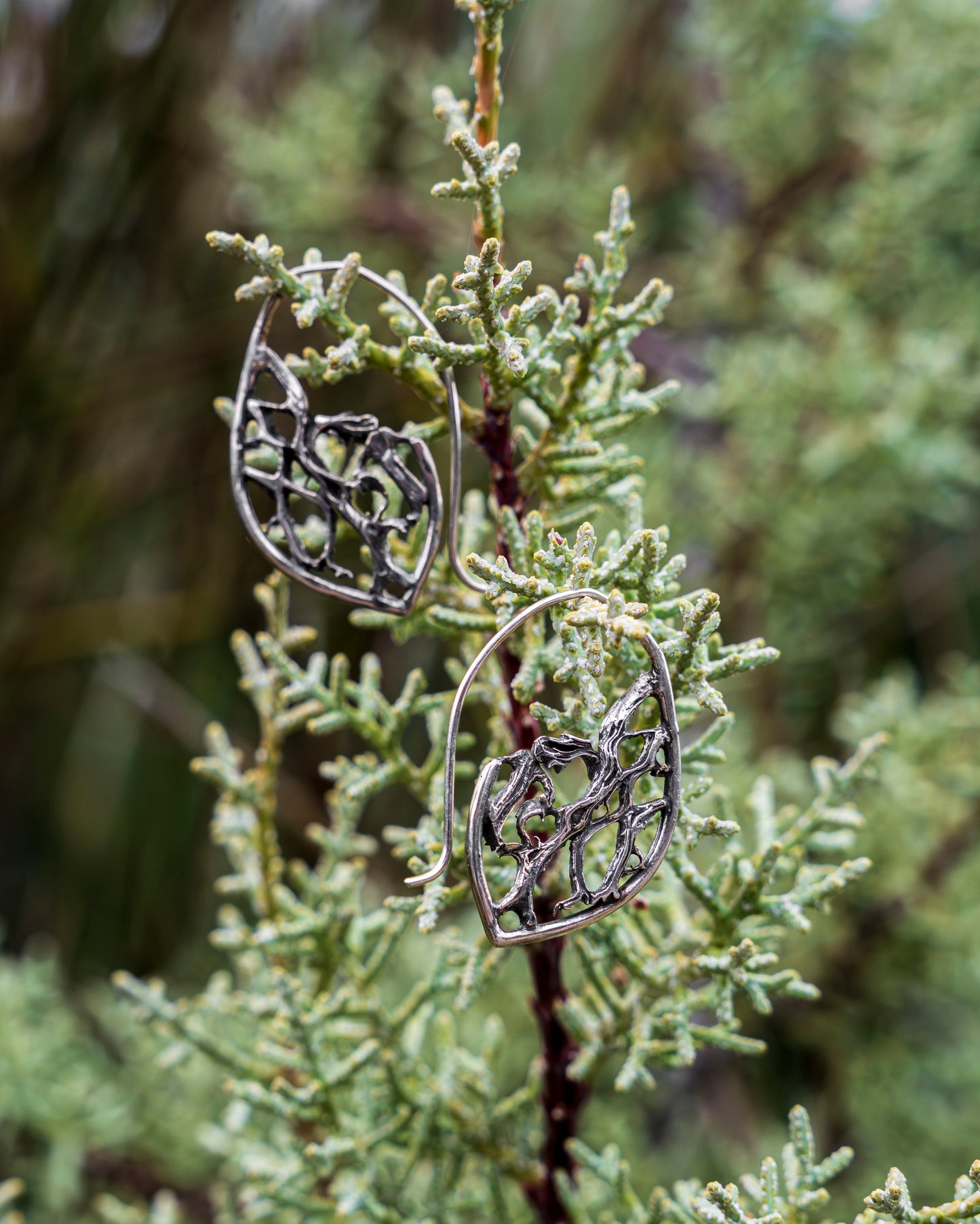 Eternal Roots | Earrings