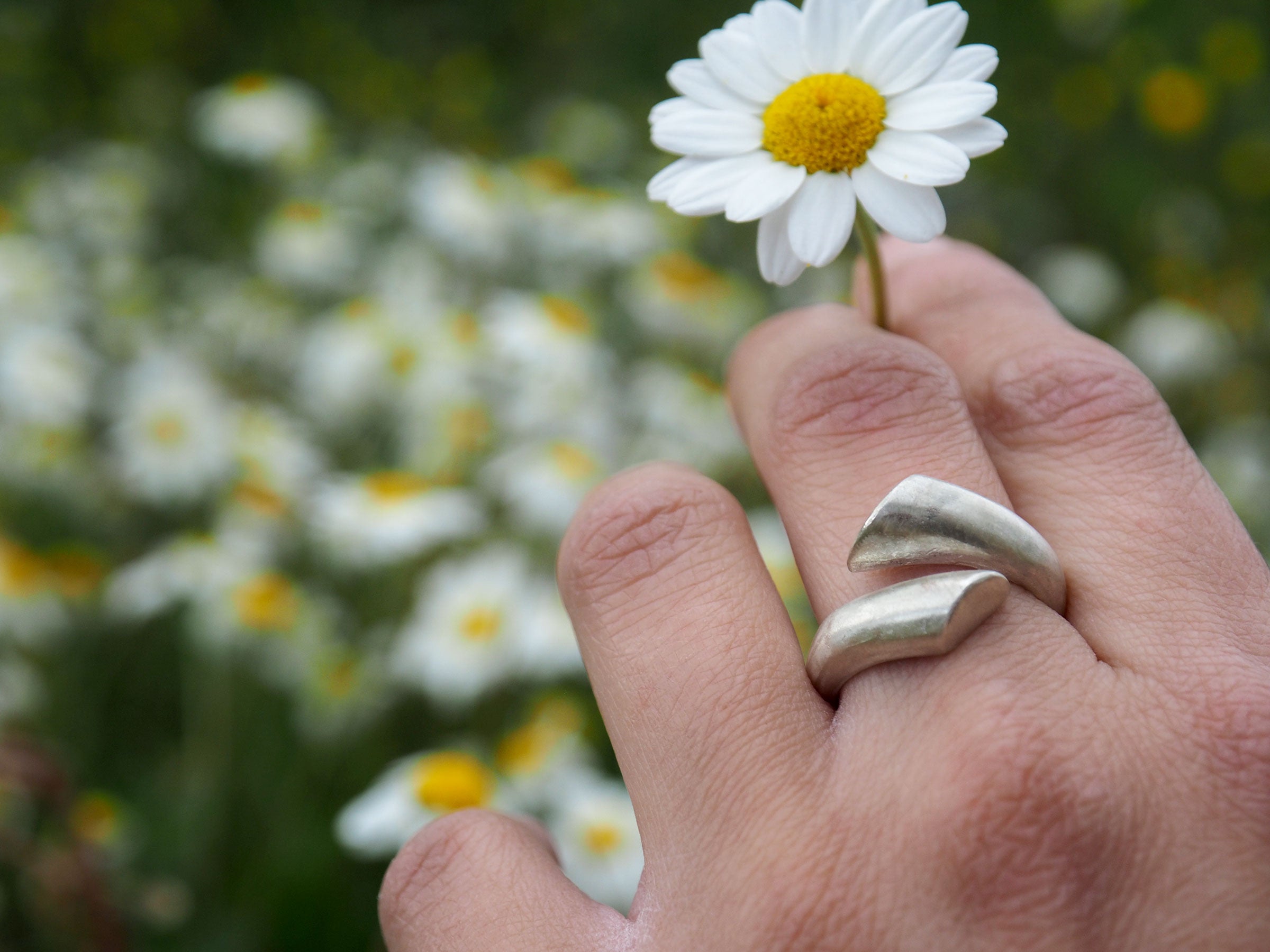 Elysia | Ring