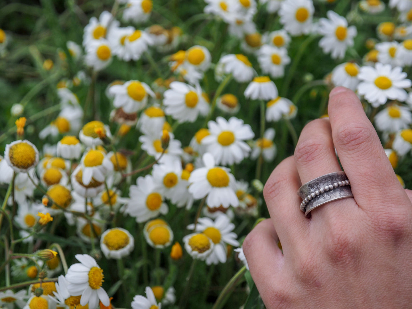 Elaya | Sterling Silver Spinner Ring