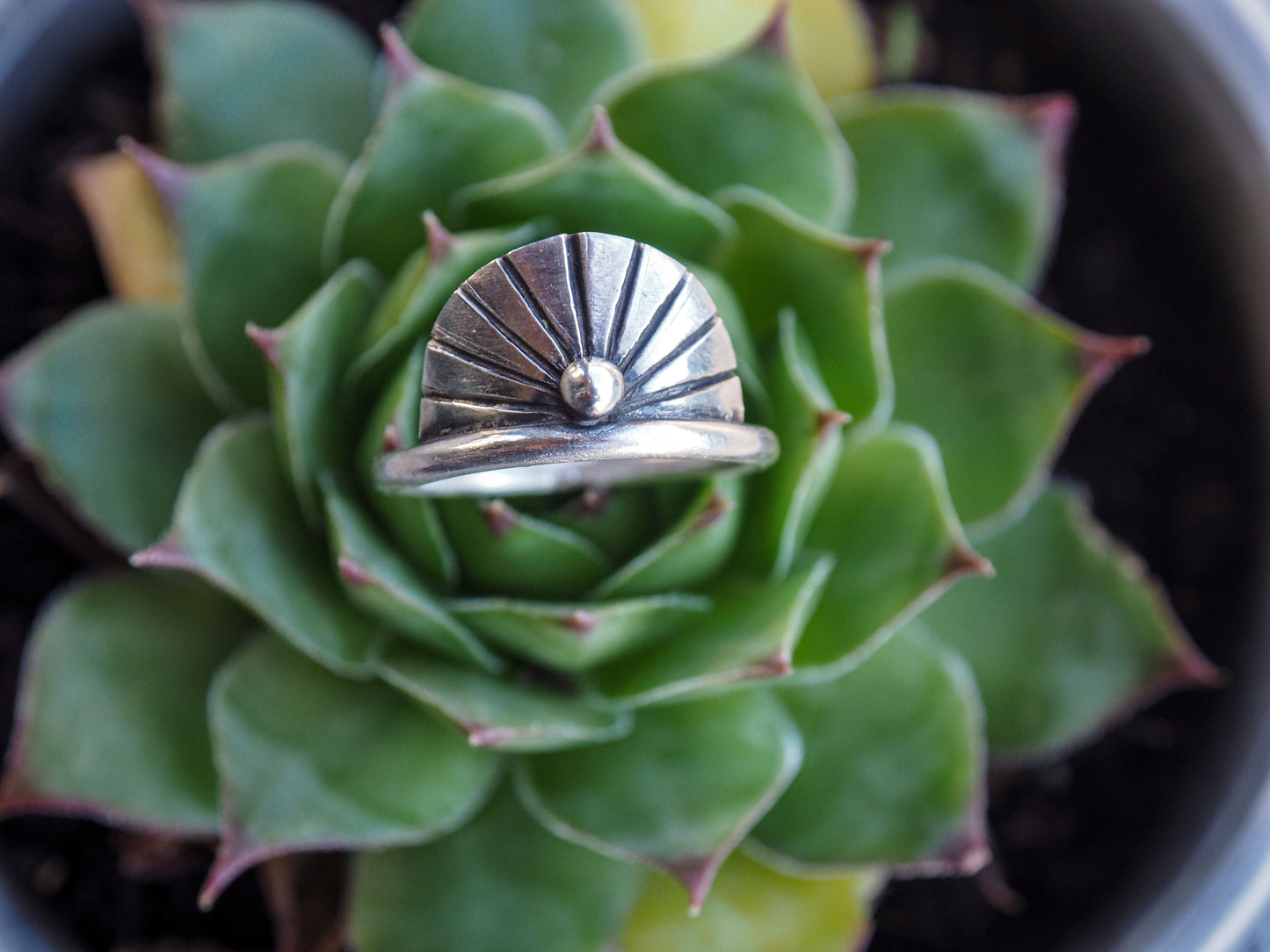 Rising Sun | Sterling silver ring