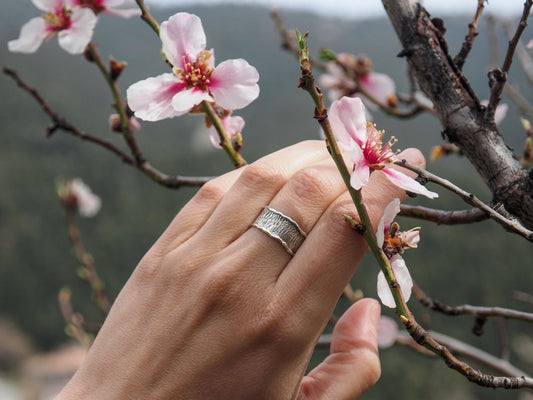 Alma | Sterling Silver ring